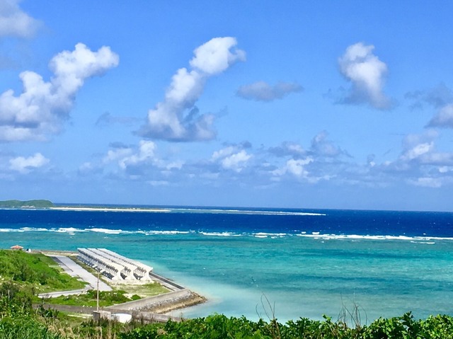 S__167919621.jpg