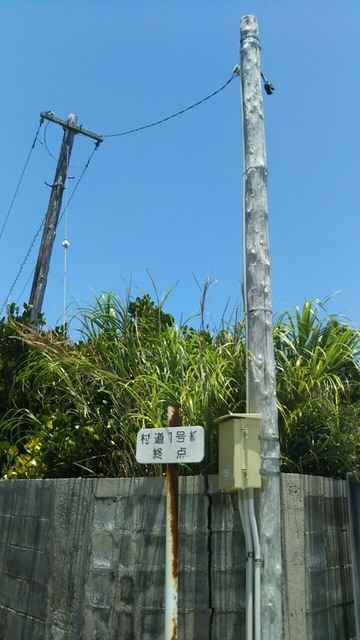 S__167919624.jpg